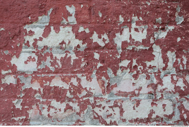 Wall Bricks Painted