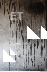 Wall Plaster Leaking