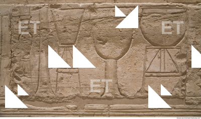 Photo Texture of Habu 0006