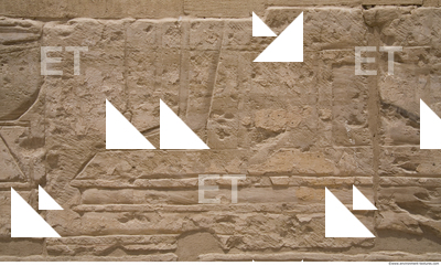 Photo Texture of Habu 0007