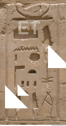 Photo Texture of Habu 0008