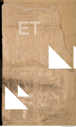 Photo Texture of Habu 0009