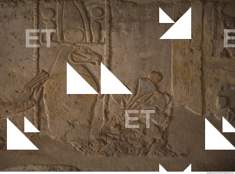 Photo Texture of Habu 0010