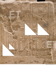 Photo Texture of Habu 0015