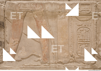 Photo Texture of Habu 0016