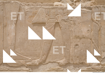 Photo Texture of Habu 0017