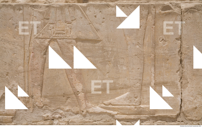 Photo Texture of Habu 0018