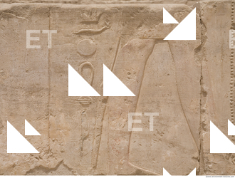 Photo Texture of Habu 0019