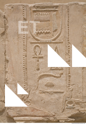 Photo Texture of Habu 0020