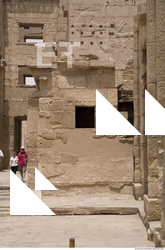 Photo Texture of Habu 0003