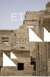 Photo Texture of Habu 0004