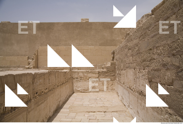 Photo Texture of Habu 0010