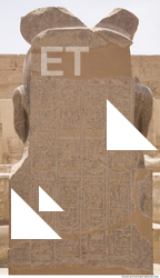 Photo Texture of Habu 0011