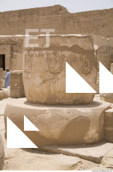 Photo Texture of Habu 0012