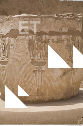 Photo Texture of Habu 0014