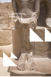 Photo Texture of Habu 0018