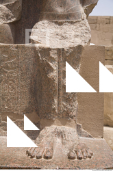 Photo Texture of Habu 0019