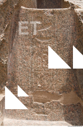 Photo Texture of Habu 0020