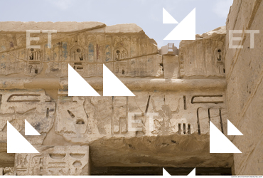 Photo Texture of Habu 0021