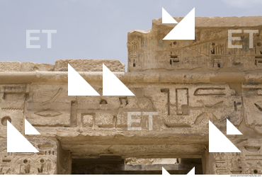 Photo Texture of Habu 0022