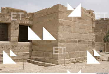 Photo Texture of Habu 0024