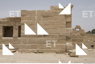 Photo Texture of Habu 0025