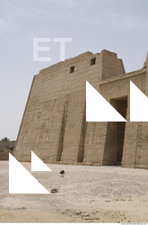 Photo Texture of Habu 0031