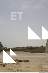 Photo Texture of Habu 0032