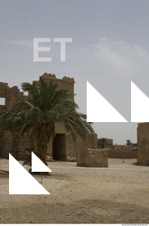 Photo Texture of Habu 0035