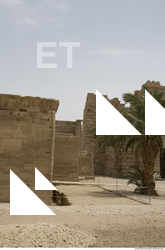 Photo Texture of Habu 0036