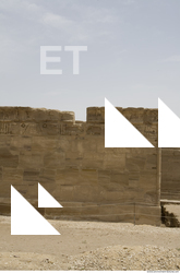 Photo Texture of Habu 0037