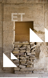 Photo Texture of Habu 0041