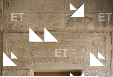 Photo Texture of Habu 0042