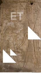 Photo Texture of Habu 0043