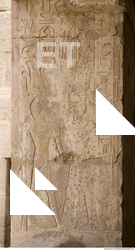 Photo Texture of Habu 0044