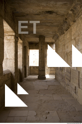 Photo Texture of Habu 0046