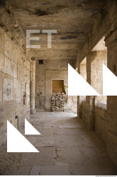 Photo Texture of Habu 0051