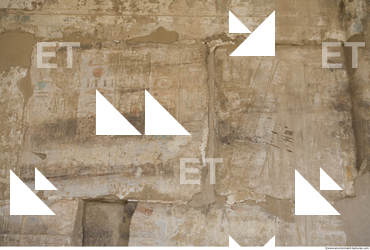 Photo Texture of Habu 0054