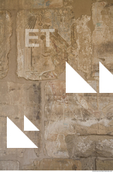 Photo Texture of Habu 0055