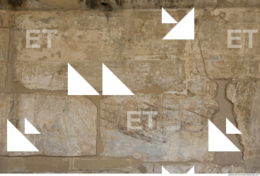 Photo Texture of Habu 0057