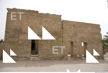 Photo Texture of Habu 0161