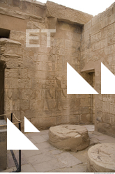 Photo Texture of Habu 0163