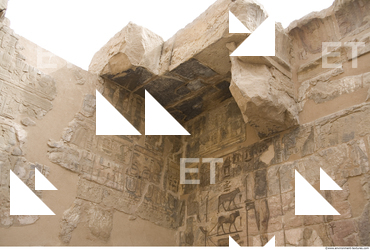 Photo Texture of Habu 0171