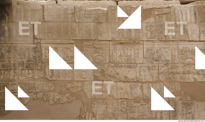 Photo Texture of Habu 0176