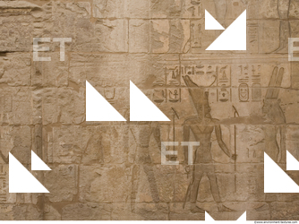 Photo Texture of Habu 0177