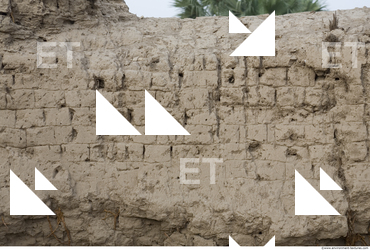 Wall Bricks Plastered