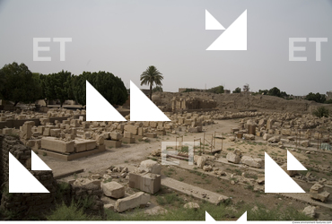 Photo Texture of Karnak Temple 0027