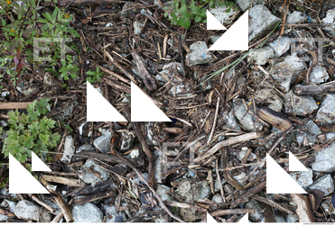 Other Wood Mess Ground