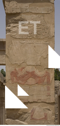 Photo Texture of Karnak Temple 0043