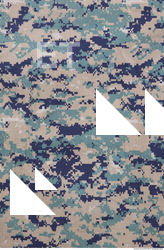 Photo Texture of Fabric Camouflage